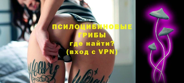 дмт Каменск-Шахтинский