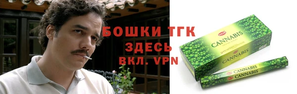 гидропоника Богданович