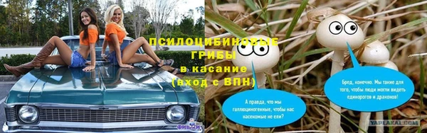 прущие крисы Богородицк