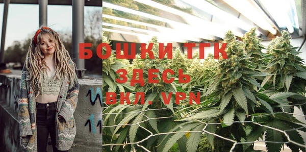 гидропоника Богданович