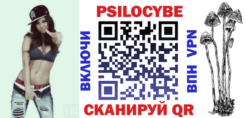 закладки  Киселёвск  Псилоцибиновые грибы MAGIC MUSHROOMS 