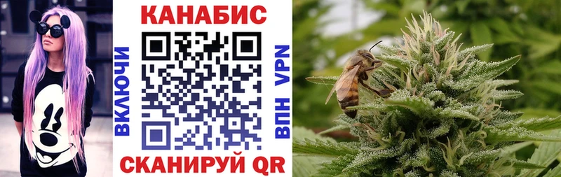 Конопля план Киселёвск